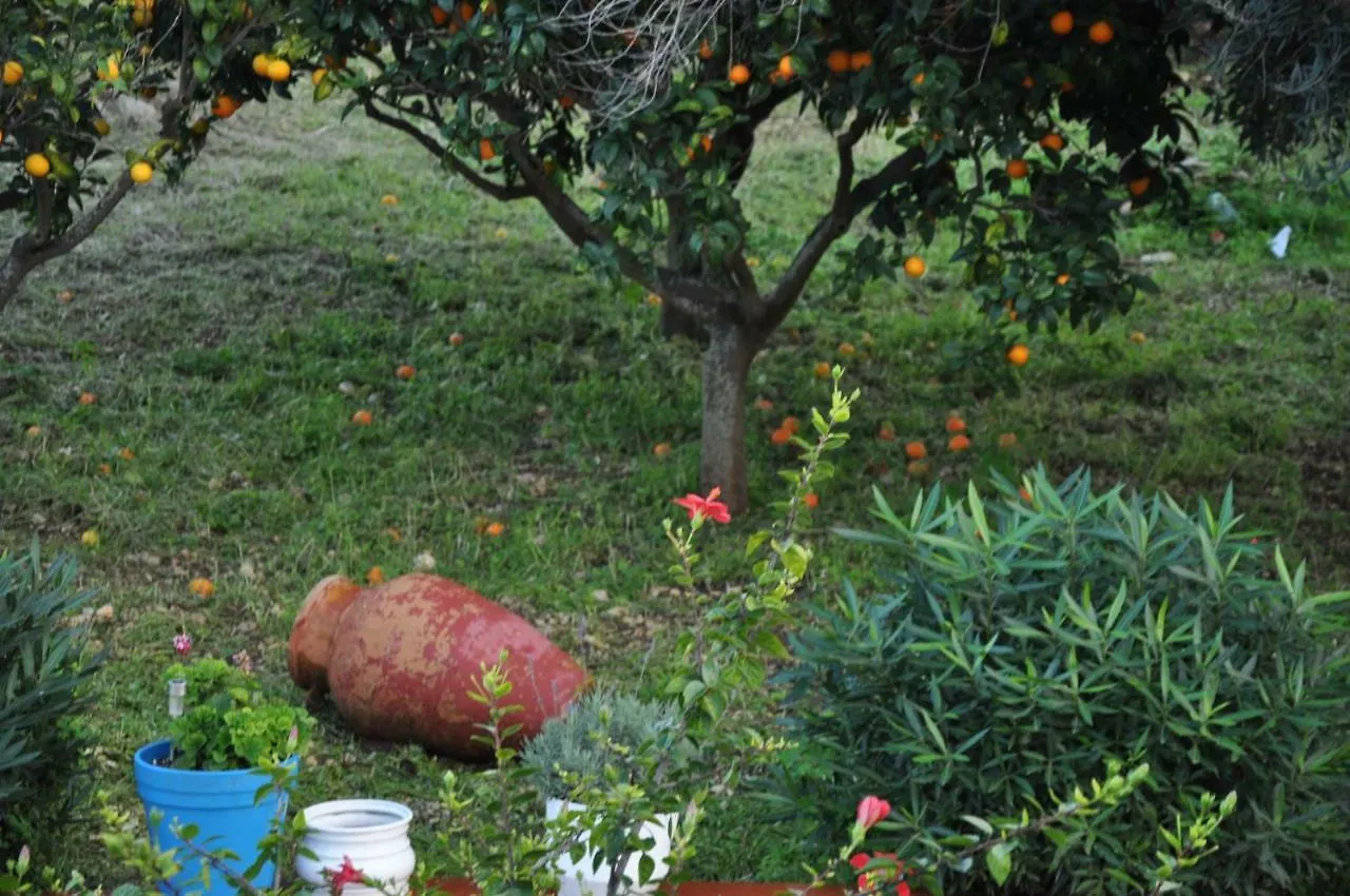 Corso'S Old Nest A Mille Metri Dalla Spiaggia Guida Loca Castellammare del Golfo 0*,